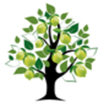Lime Tree House