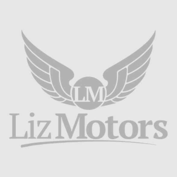 Lizmotors