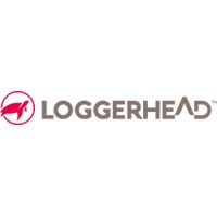 Loggerhead