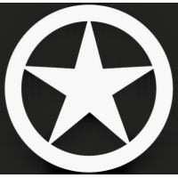 Lonestar Data Holdings