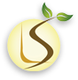 Longman Suntech Energy