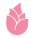 Lotus Dairy