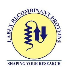 Labex Recombinant Proteins
