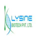 Lysine Biotech