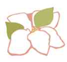 Magnolia Recovery