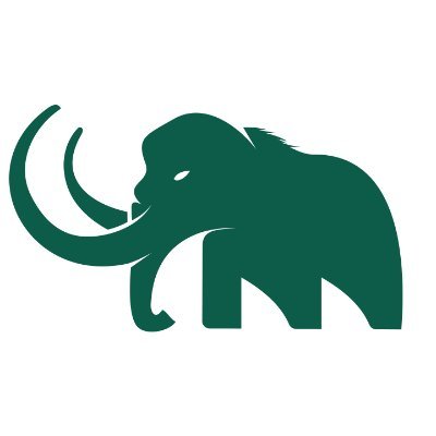 Mammoth Cyber