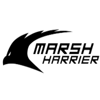 Marsh Harrier