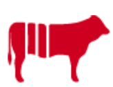 Meat Chop