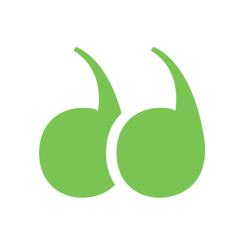 Meddle