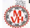 Mermans-van Houdt