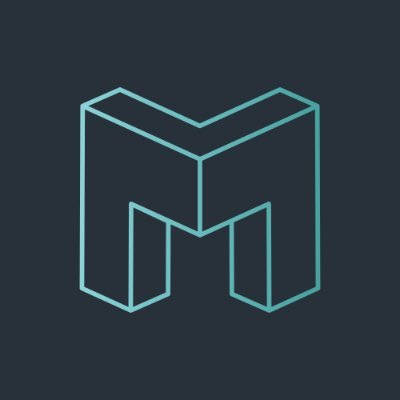 The Metaverse Group