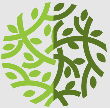 Midori Impex