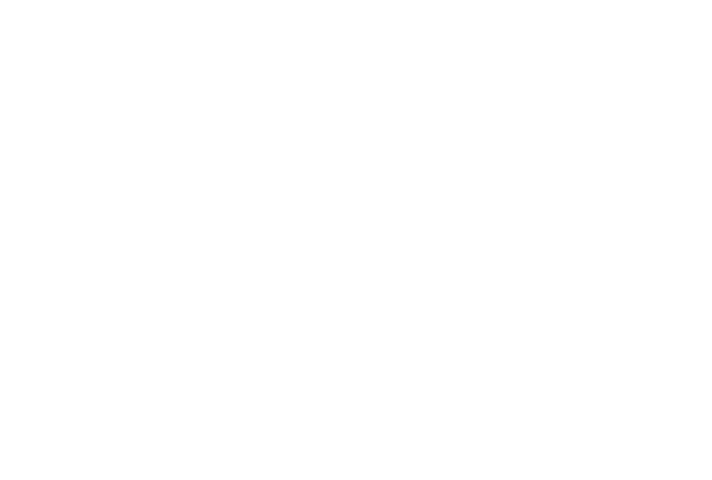 Midway Holding