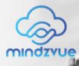 Mindzvue