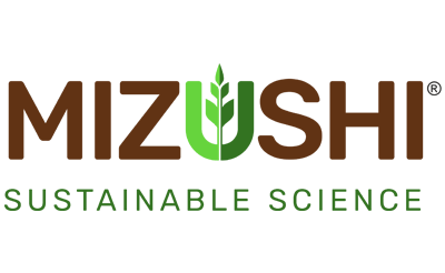 Mizushi India