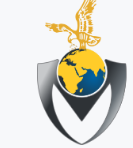 Modern Veer Rays Security Force