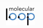 Molecular Loop