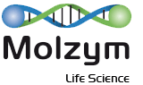 Molzym