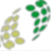 Mosaic Global