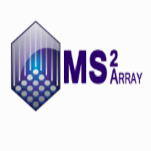 Ms2 Array