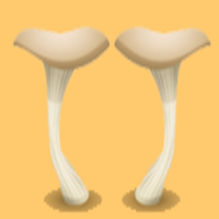 The Mushroom Hub