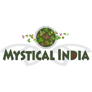 Mystical India Shop