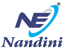 Nandini Entrepreneur