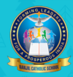 Nanjil Catholic School