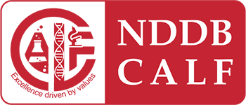 Nddbcalf