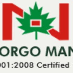Nico Orgo