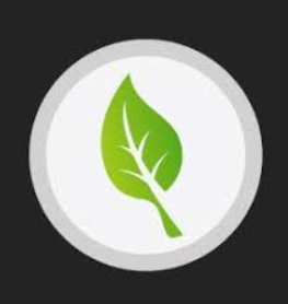 Neem Solutions