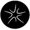 Neurostellar