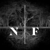 New Forest Film