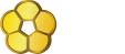 Next Vision Capital