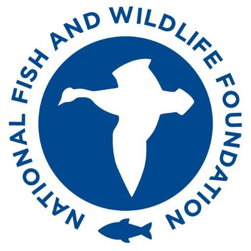 Nfwf
