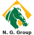 N. G. Group