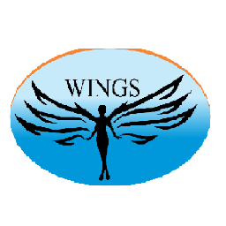 Ngo Wings