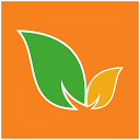 Ngreen International