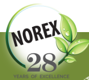 Norex