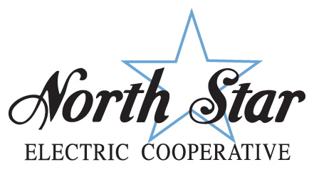 North Star Electric
