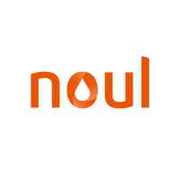 Noul