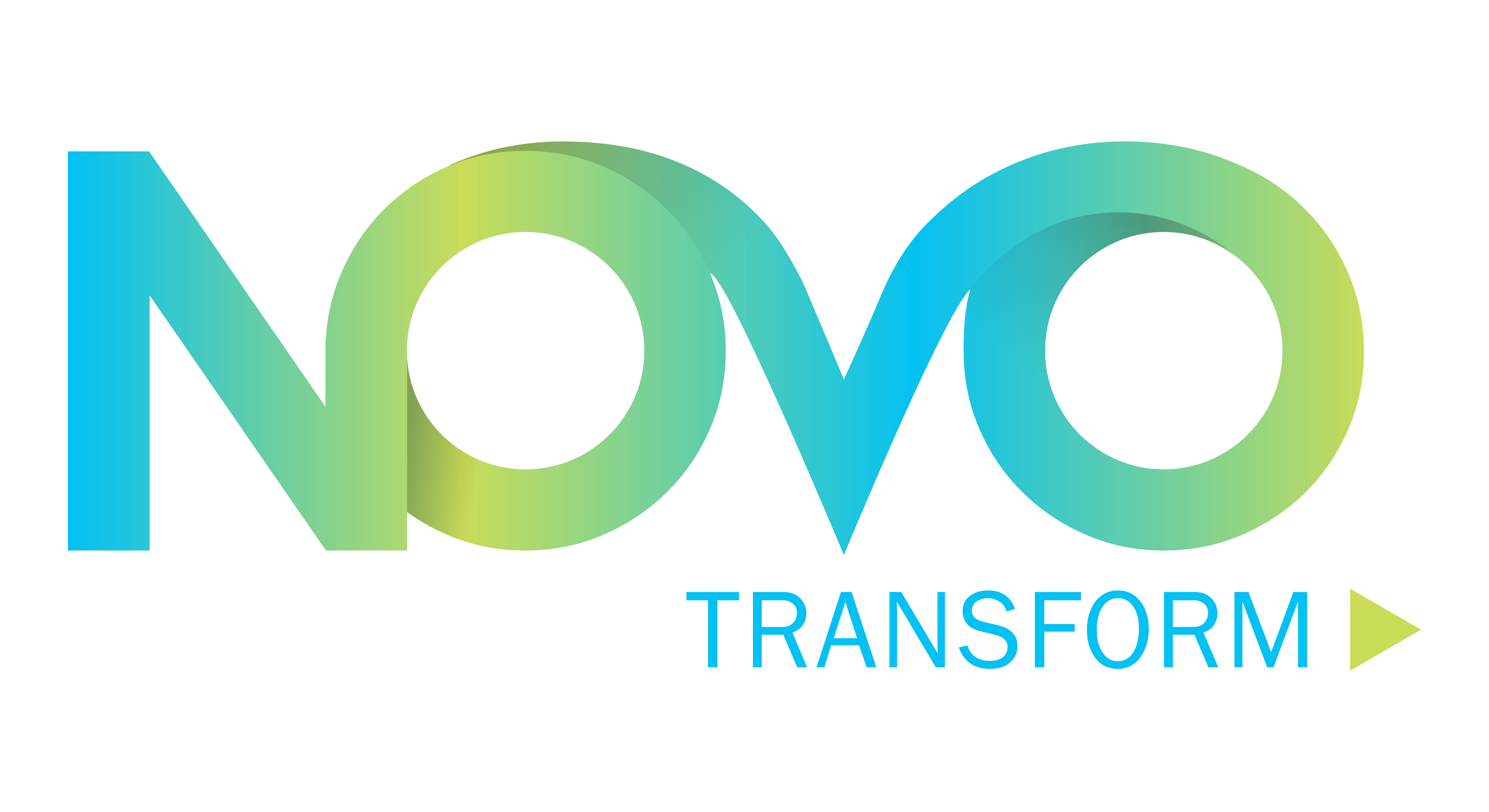 Novo Consulting