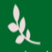 Natural State Medical Group