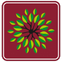 Oakwood International School