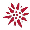 Ojas Consulting
