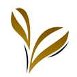 Orchid Laminates