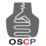 One Silicon Chip Photonics
