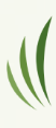 Origo Commodities