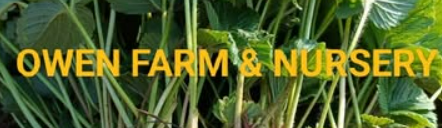 Owen Farm & Nursery