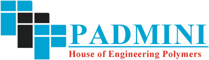 Padmini Innovative Marketing Solutions